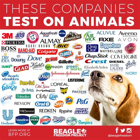 is soft and gentle tested on animals|GIANT List of Companies That Test on Animals .